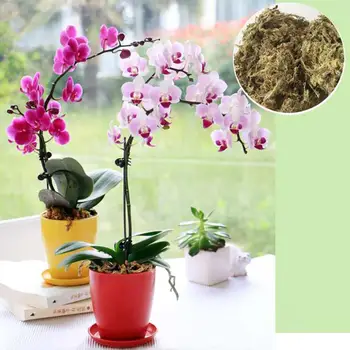 12L Mah Sphagnum Vrt Dobave Mah Sphagnum Vlažilne Prehrana Organsko Gnojilo Za Orhideje Phalaenopsis Musgo Sphagnum