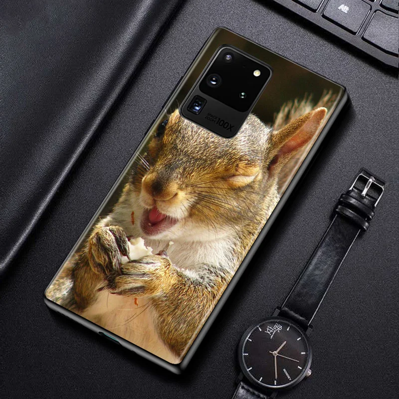 Srčkan Živali Veverica Za Samsung Galaxy A01 A11 A12 A21 A31 A41 A42 A51 A71 A91 A32 A52 A72 A02S Primeru Telefon