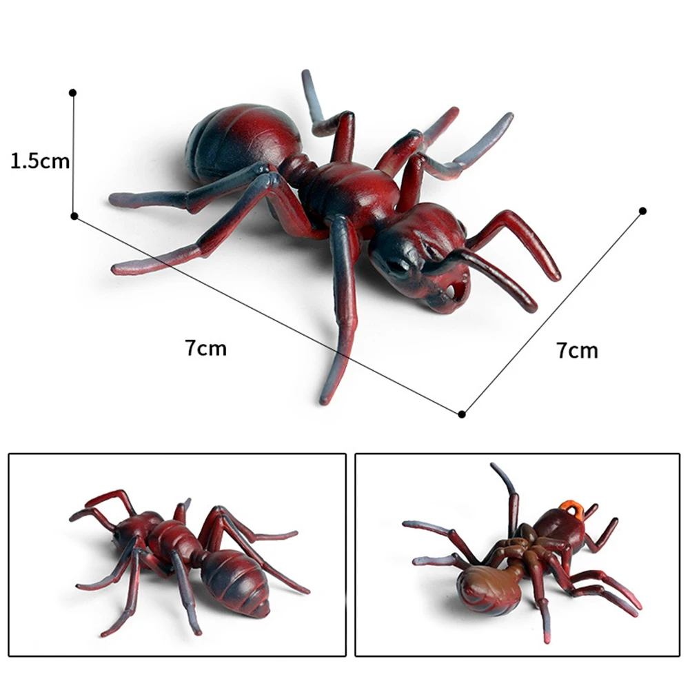 Realno Ant Ciklus Rasti Figur Nastavite Otroci Simulirani Živali Izobraževalne Igrače