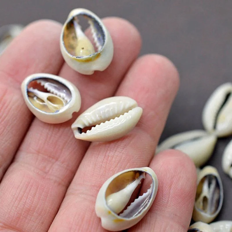 50pcs 1.5-2 cm Visoko Kakovostnih Naravnih Lupini Conch DIY Plaži Belem Morju Lupini Cowrie Cowry Čar Nakit za Ženske Uhane, Zapestnico
