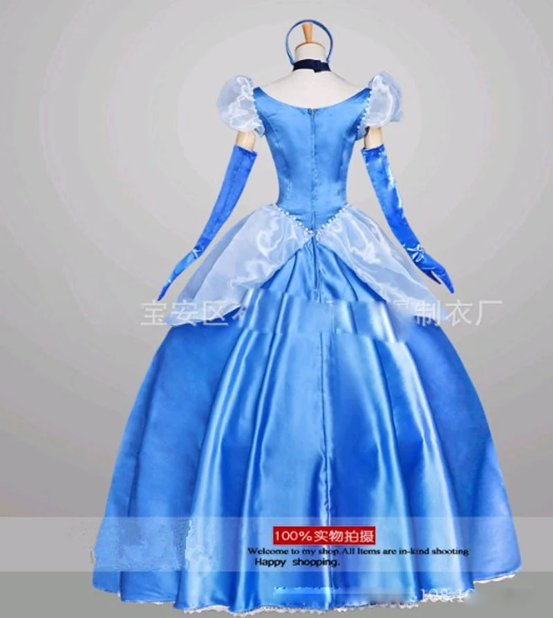 Odraslih cosplay stranka kostum Pepelka pravljica princesa obleko modra Princess obleke