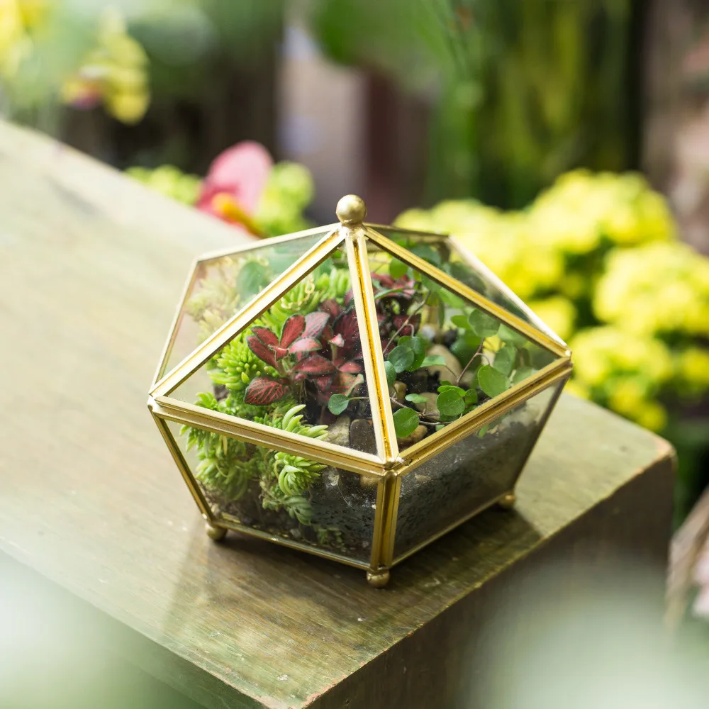 Sodobne Umetniške Namizni prozornega Stekla Geometrijske Terarija Dragulj obrobljen Obliko Sočna Vejice Moss Rastlin Vaza Bonsaj Cvetlični lonček