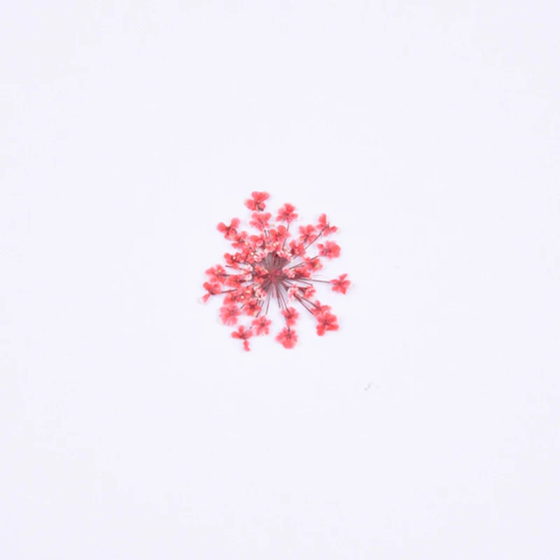 1 vrečko snowdrop cvet naravno posušeni cvet pritisnete cvet manikura posušen cvet kapljično lepilo mobilni telefon primeru diy materiala